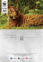 Kaplan Oyuncak Evlat Edinme Seti