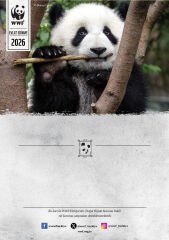 Panda Oyuncak Evlat Edinme Seti