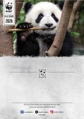 Panda Oyuncak Evlat Edinme Seti