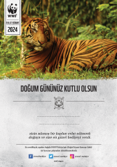 Kaplan Temalı Destek Kartı