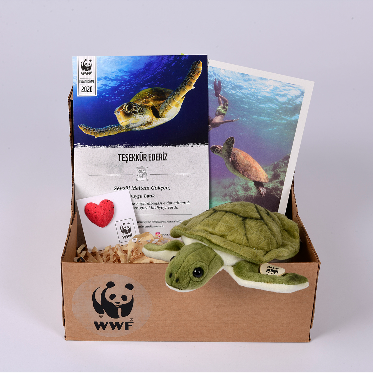 Deniz Kaplumbağası Oyuncak Evlat Edinme Seti