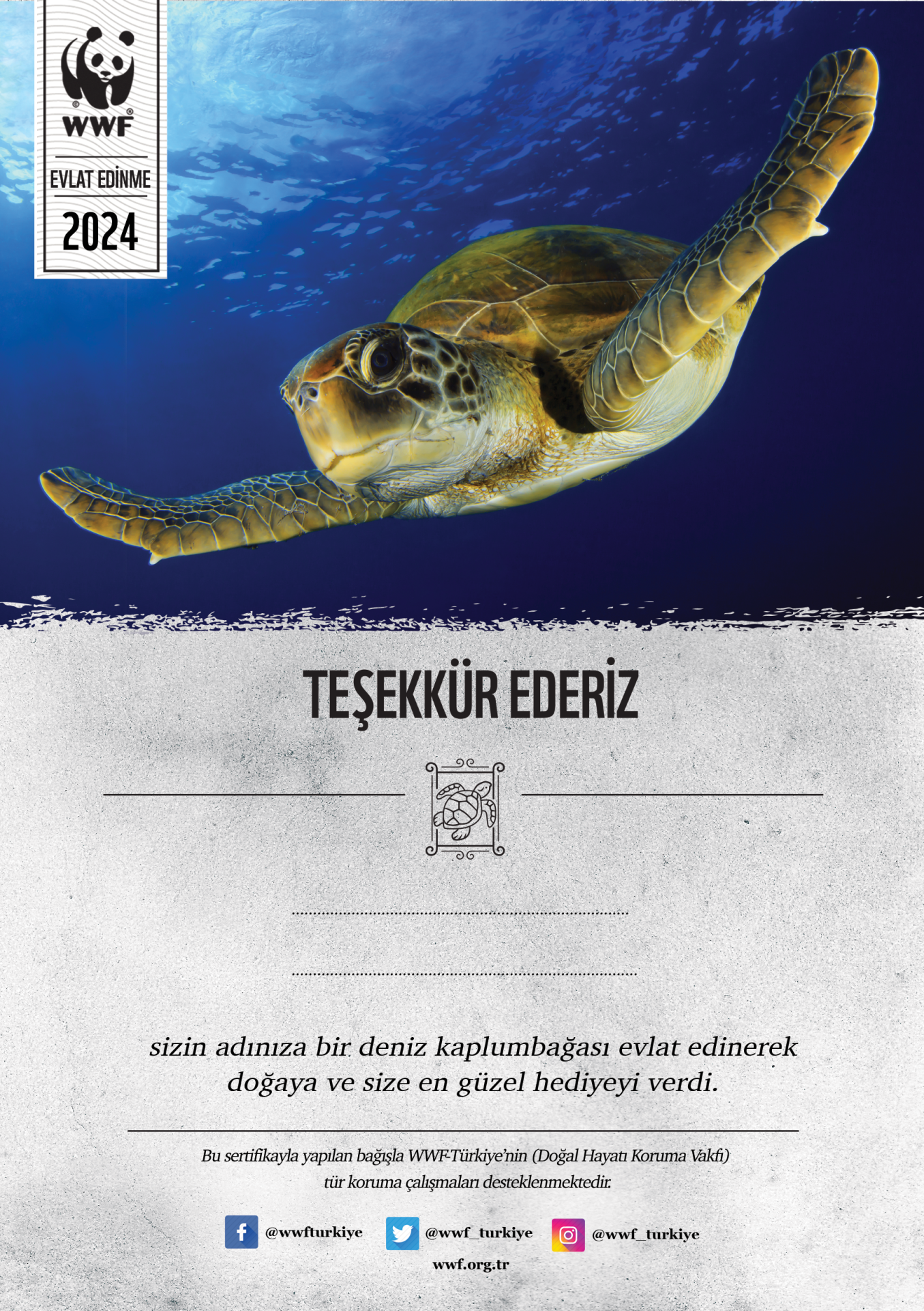 Deniz Kaplumbağası Temalı Basılı Sertifika