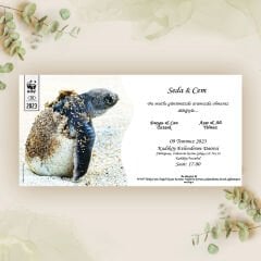 Deniz Kaplumbağası Temalı Davetiye