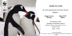 Davetiye Penguen