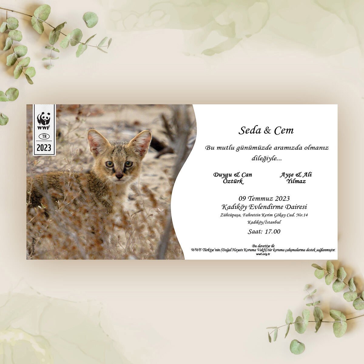 Saz Kedisi Temalı Davetiye