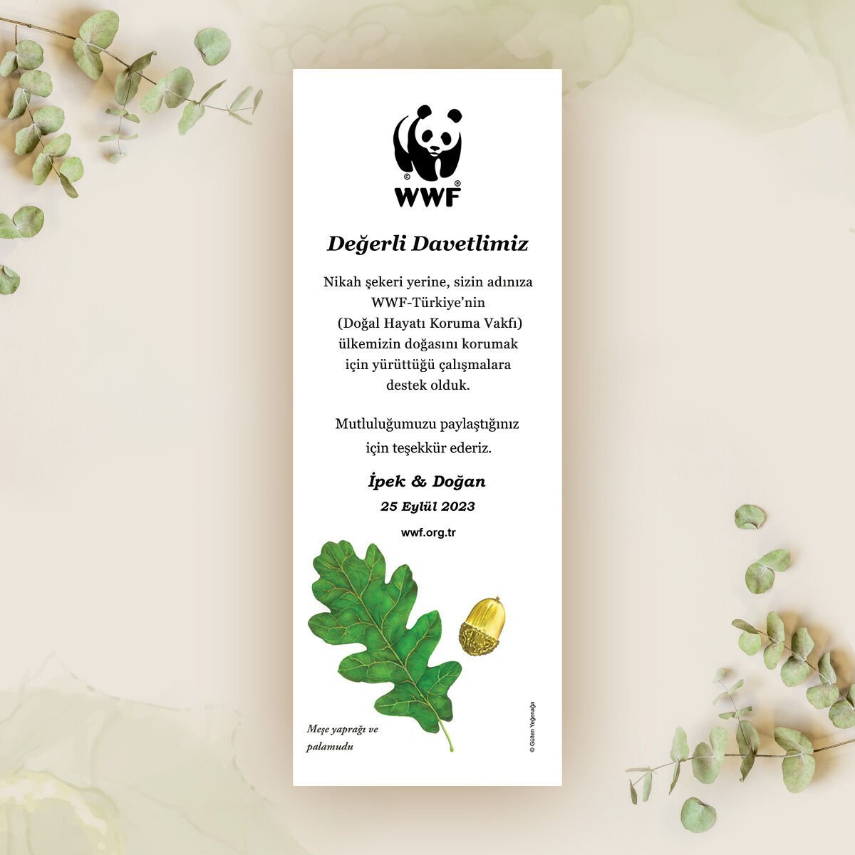 Meşe Palamudu Temalı Kitap Ayracı