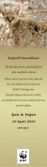 Saz Kedisi Temalı Kitap Ayracı
