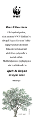 Kitap Ayracı- Zeytin Ağacı-1