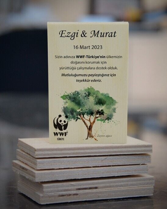 Zeytin Ağacı Temalı Ahşap Magnet
