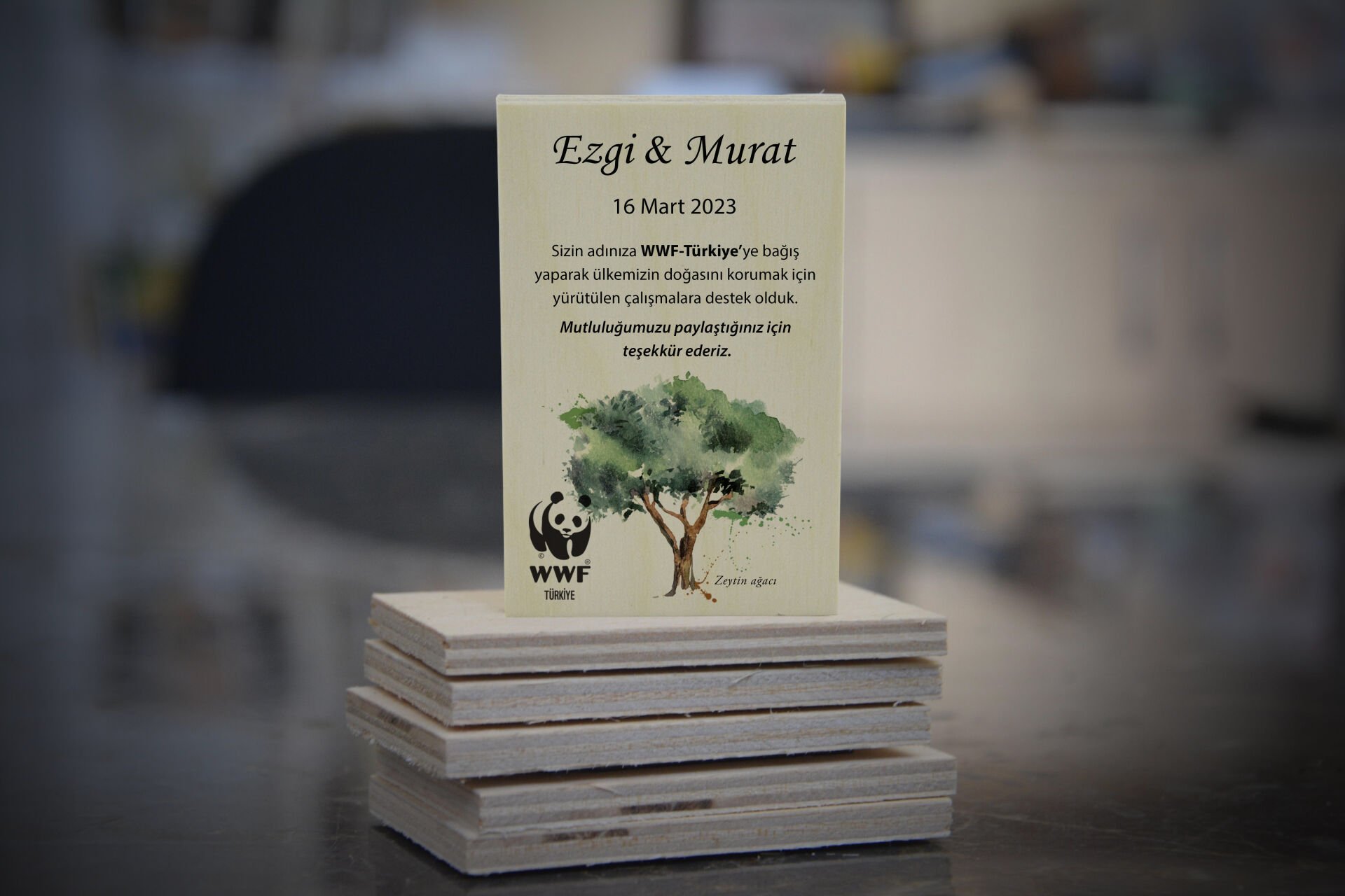 Ahşap Magnet Zeytin Ağacı