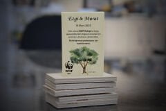 Ahşap Magnet Zeytin Ağacı