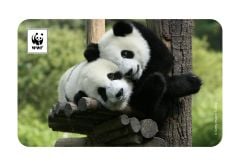 Panda Temalı Magnet