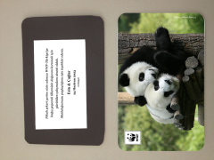 Panda Temalı Magnet