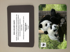 Panda Temalı Magnet