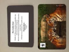 Kaplan Temalı Magnet