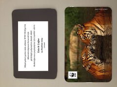 Kaplan Temalı Magnet