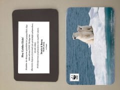 Kutup Ayısı Temalı Magnet