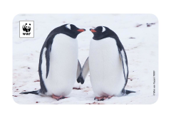 Penguen Temalı Magnet