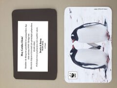 Penguen Temalı Magnet