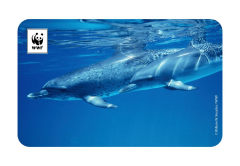 Yunus Temalı Magnet