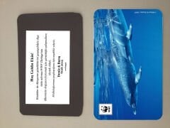 Yunus Temalı Magnet