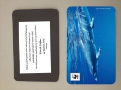 Yunus Temalı Magnet