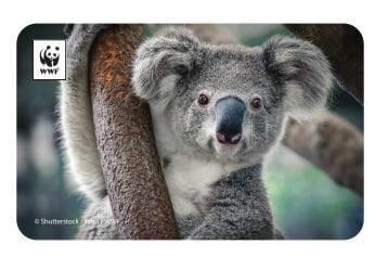 Koala Temalı Magnet
