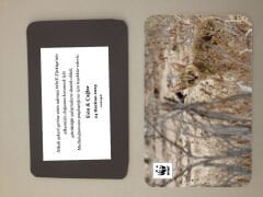 Saz Kedisi Temalı Magnet