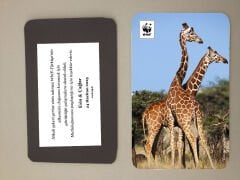 Zürafa Temalı Magnet