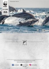 Yunus Temalı Destek Kartı