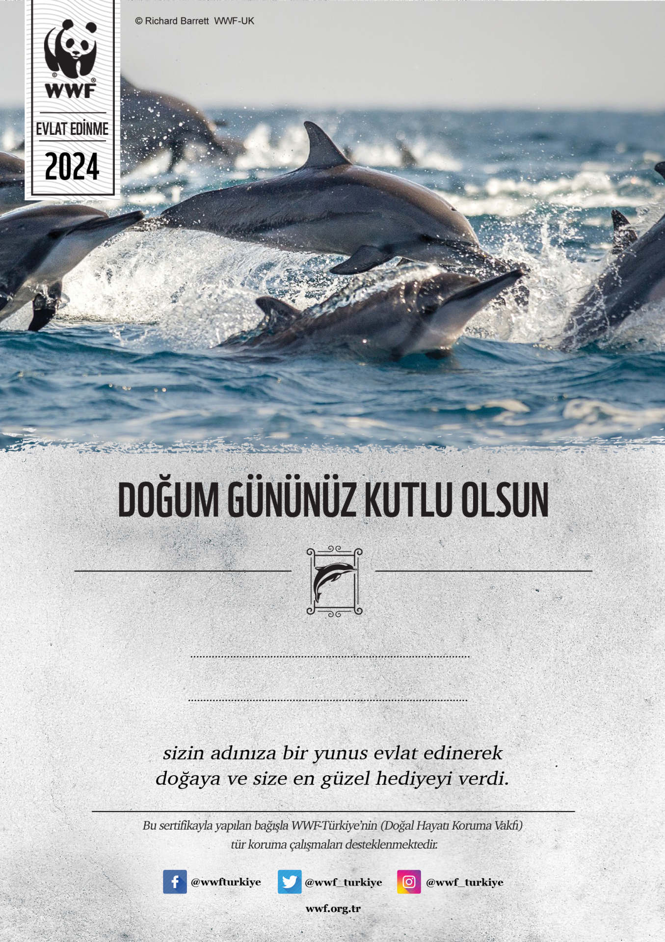 Yunus Temalı Destek Kartı