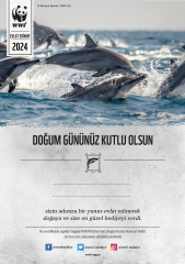 Yunus Temalı Destek Kartı