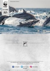 Yunus Sertifika & Tohumlu Kartpostal Set