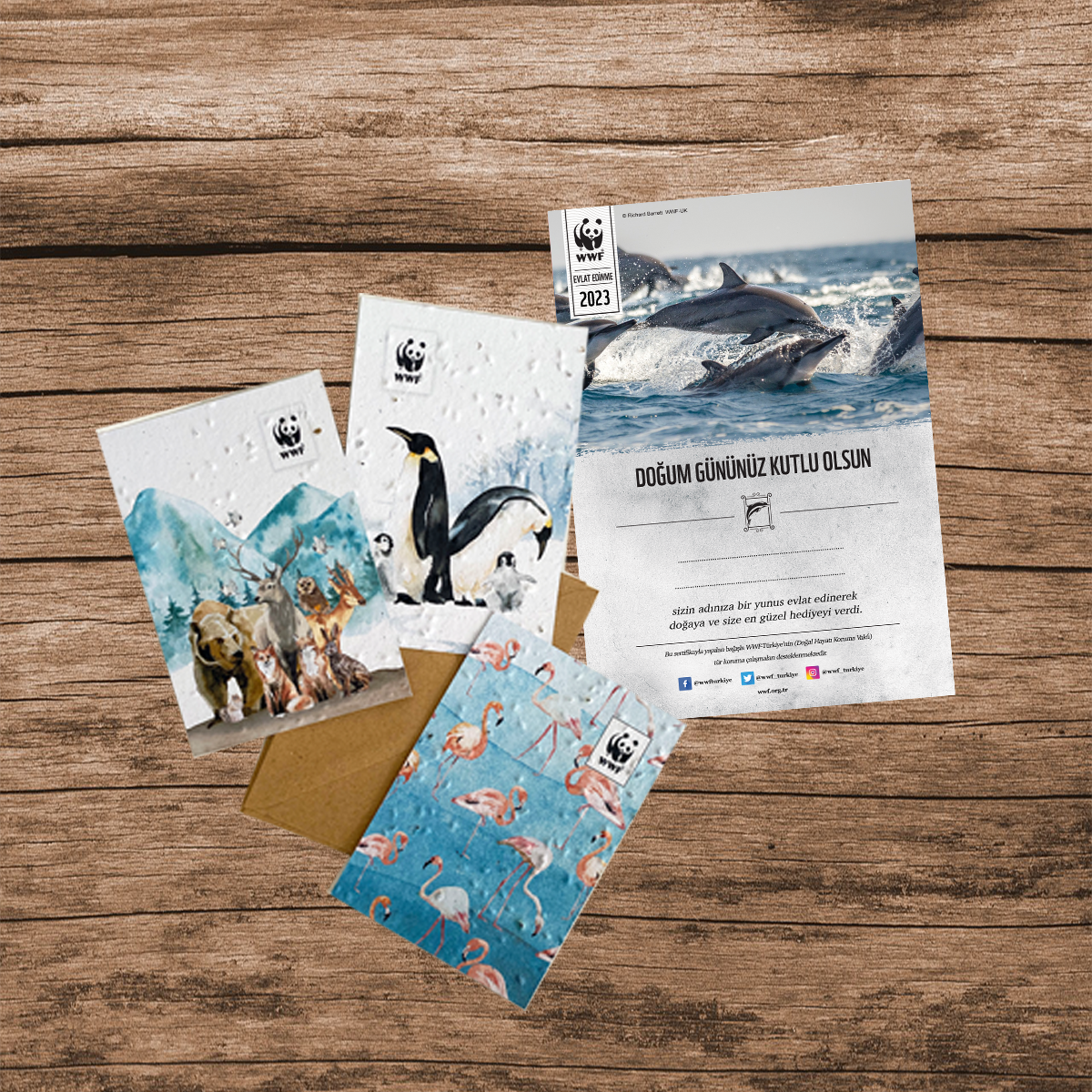 Yunus Sertifika & Tohumlu Kartpostal Set