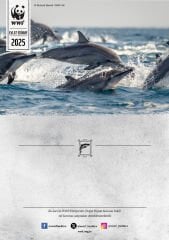 Yunus Oyuncak Evlat Edinme Seti