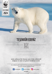 Kutup Ayısı Temalı Destek Kartı