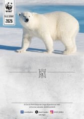 Kutup Ayısı Oyuncak Evlat Edinme Seti