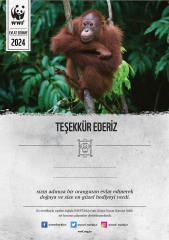 Orangutan Temalı Destek Kartı