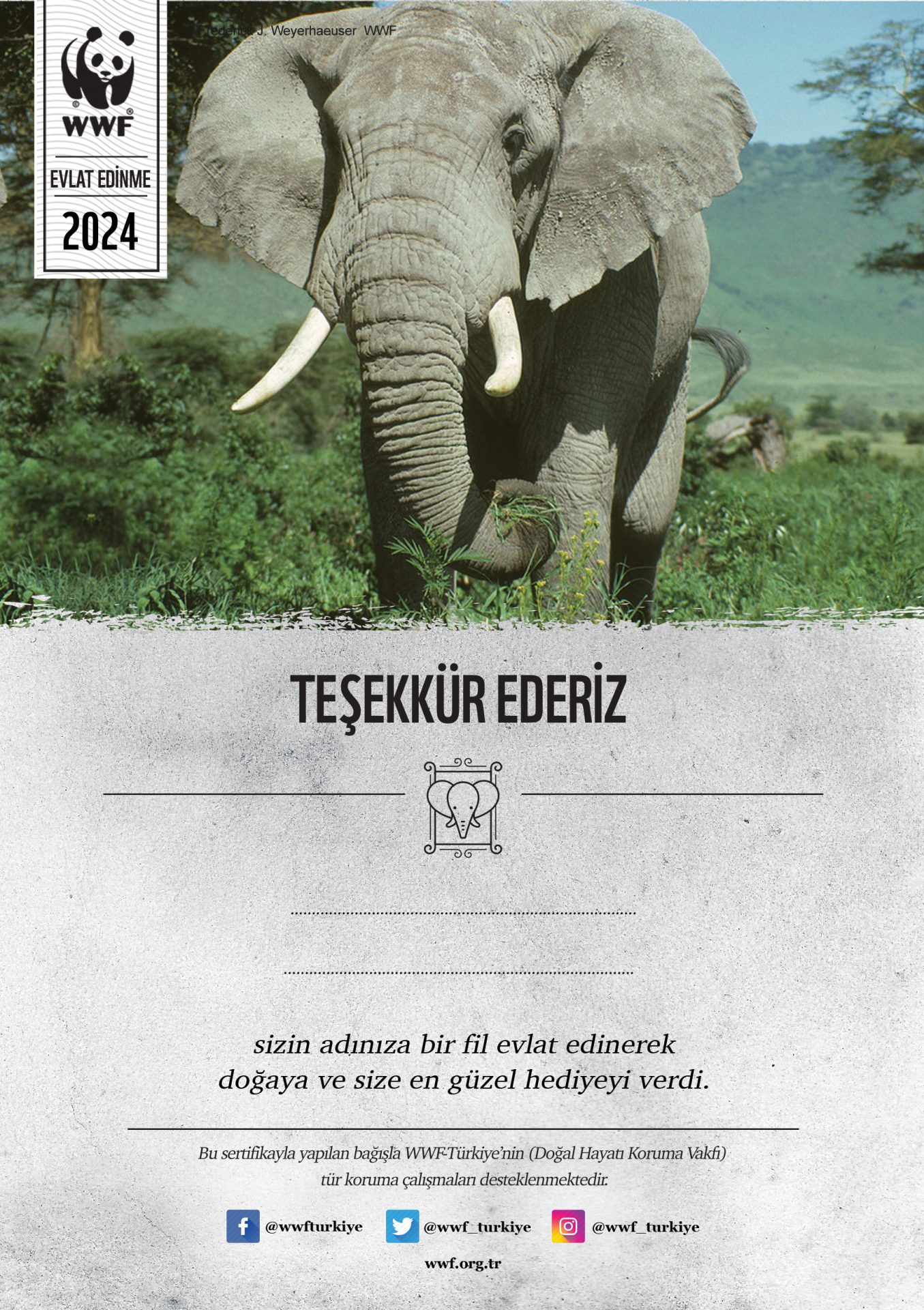 Fil Temalı Destek Kartı