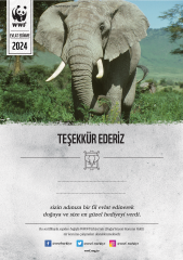 Fil Temalı Destek Kartı