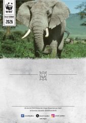 Fil Temalı Basılı Sertifika