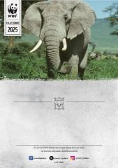 Fil Temalı Basılı Sertifika