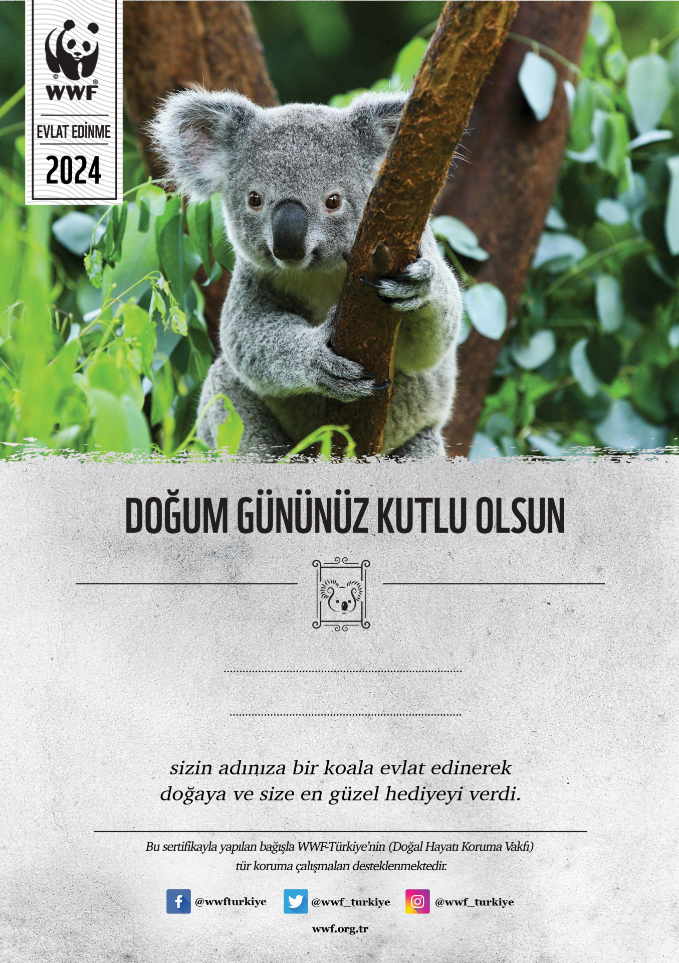 Koala Temalı Destek Kartı