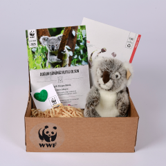 Koala Oyuncak Evlat Edinme Seti