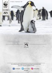Penguen Sertifika & Tohumlu Kartpostal Set