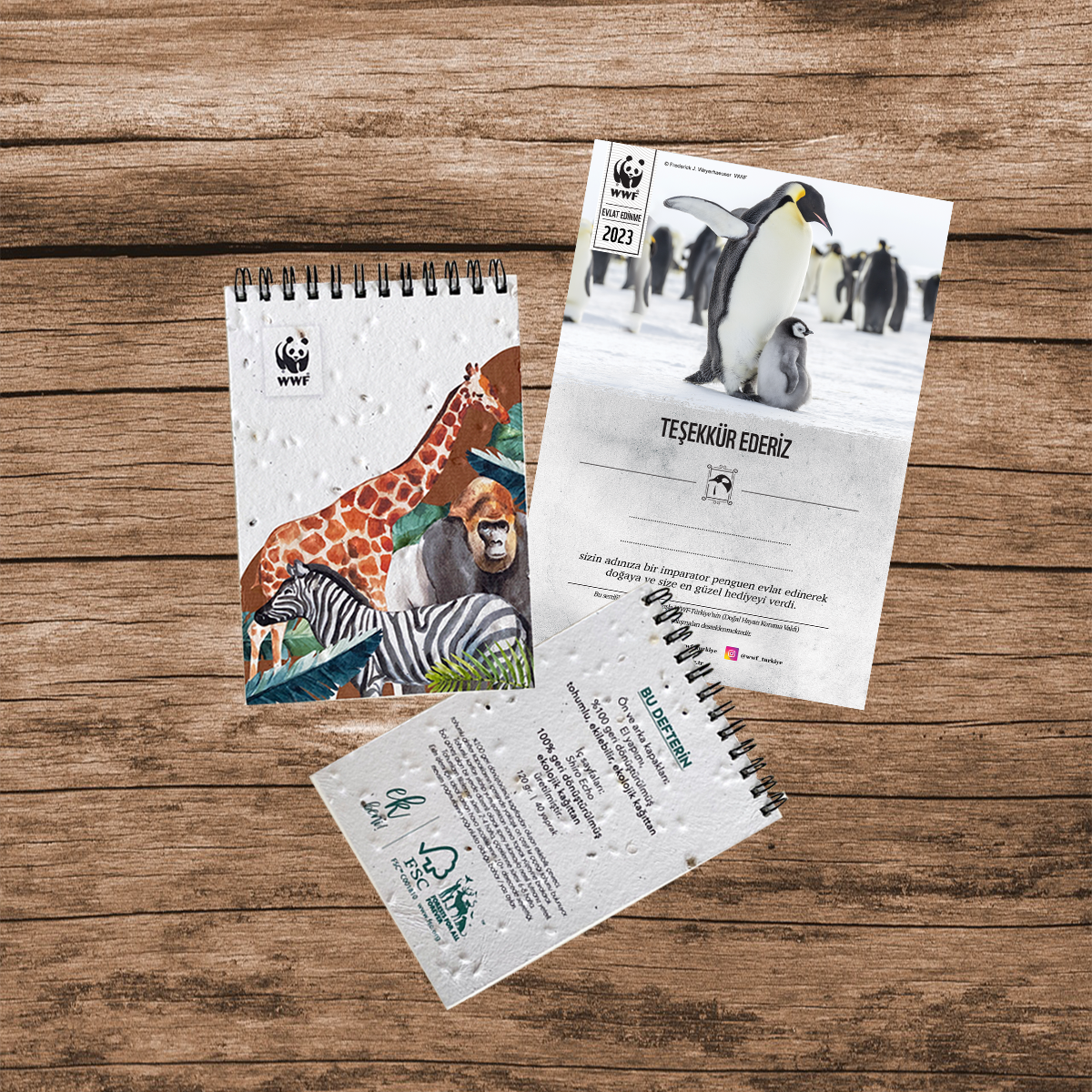 Penguen Sertifika & Tohumlu Not Defteri Set