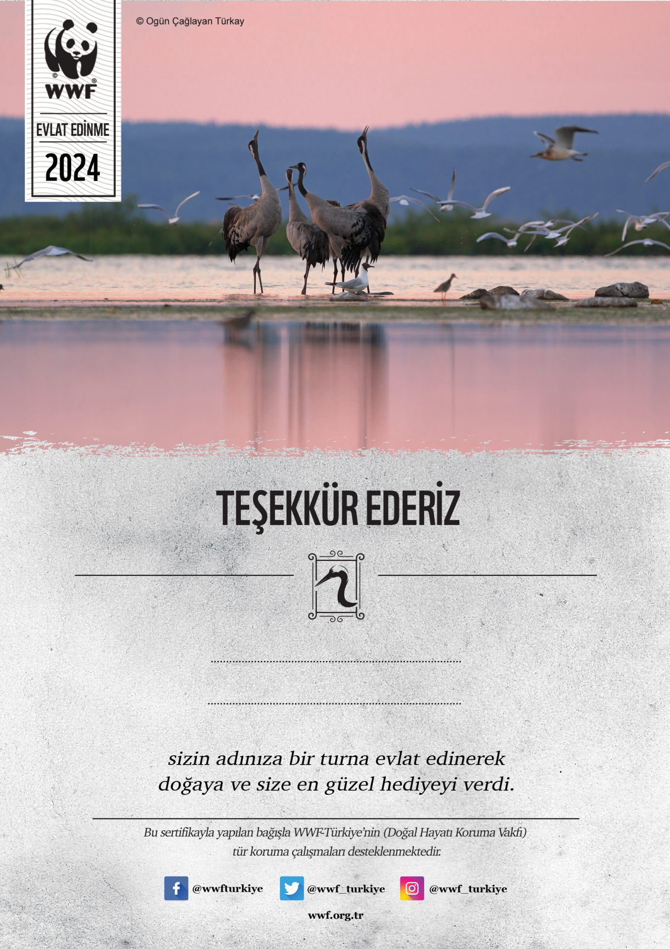 Turna Temalı Destek Kartı