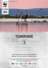 Turna Temalı Basılı Sertifika