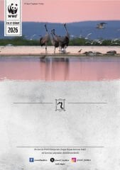 Turna Temalı Destek Kartı