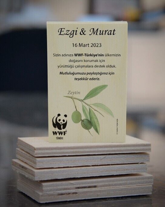 Zeytin Dalı Temalı Ahşap Magnet